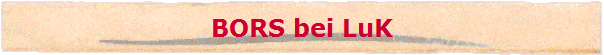BORS bei LuK