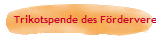 Trikotspende des F�rdervereins