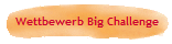 Wettbewerb Big Challenge
